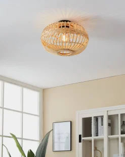 Amsfield Ø45 plafond