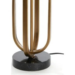 Aster 55cm