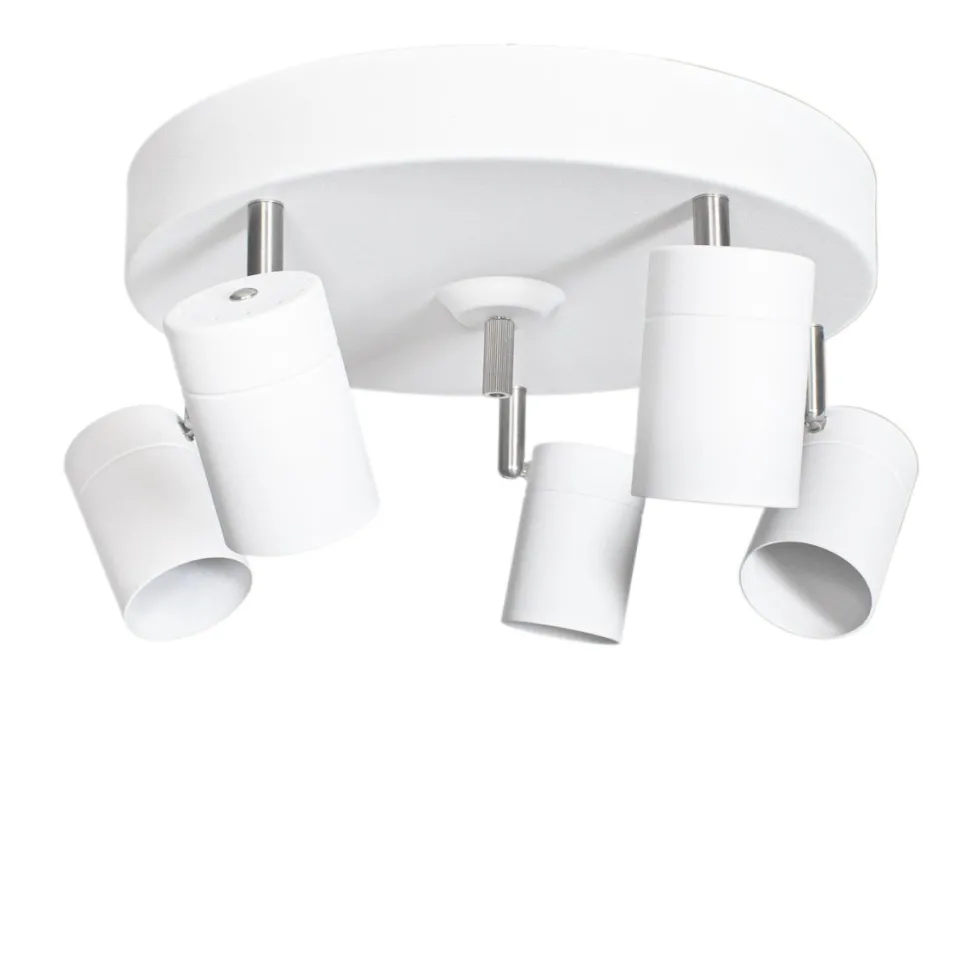 Aurora 5 spotlight
