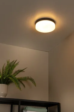 Biskit Ø28 badrumslampa