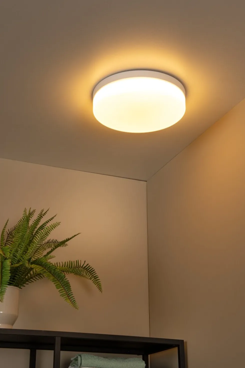 Biskit Ø35 badrumslampa