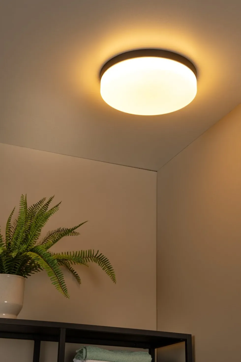 Biskit Ø35 badrumslampa