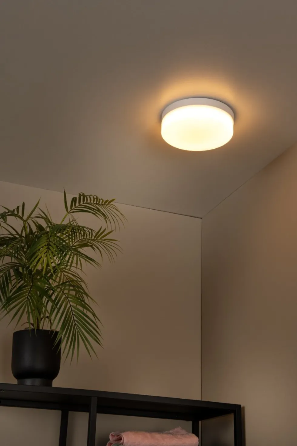 Biskit Ø23 badrumslampa