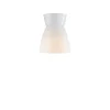 Bizzo Ø17 plafond