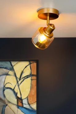 Bjorn spotlight