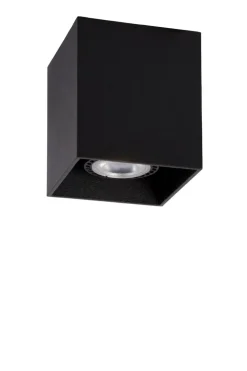 Bodi spotlight