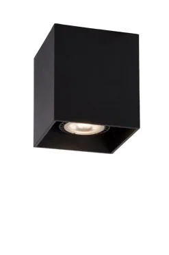 Bodi spotlight