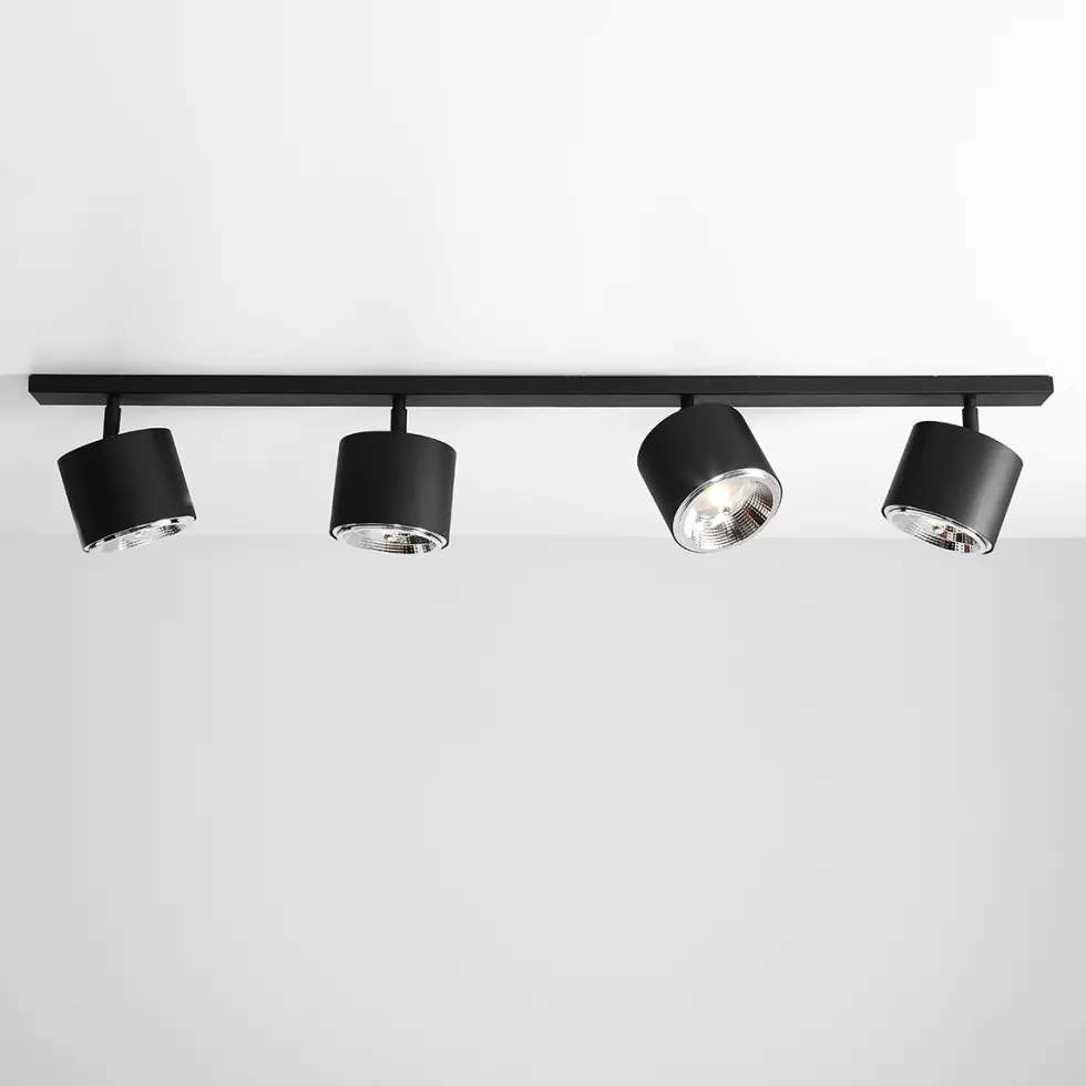 Bot 4 spotlight