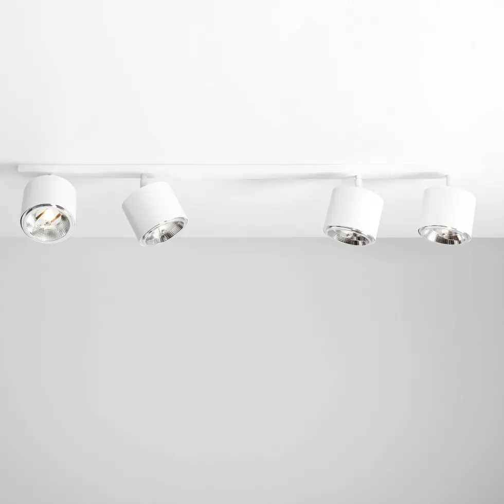 Bot 4 spotlight