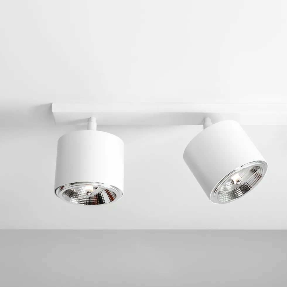 Bot 4 spotlight
