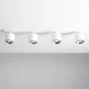 Bot 4 spotlight