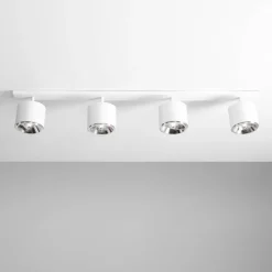 Bot 4 spotlight