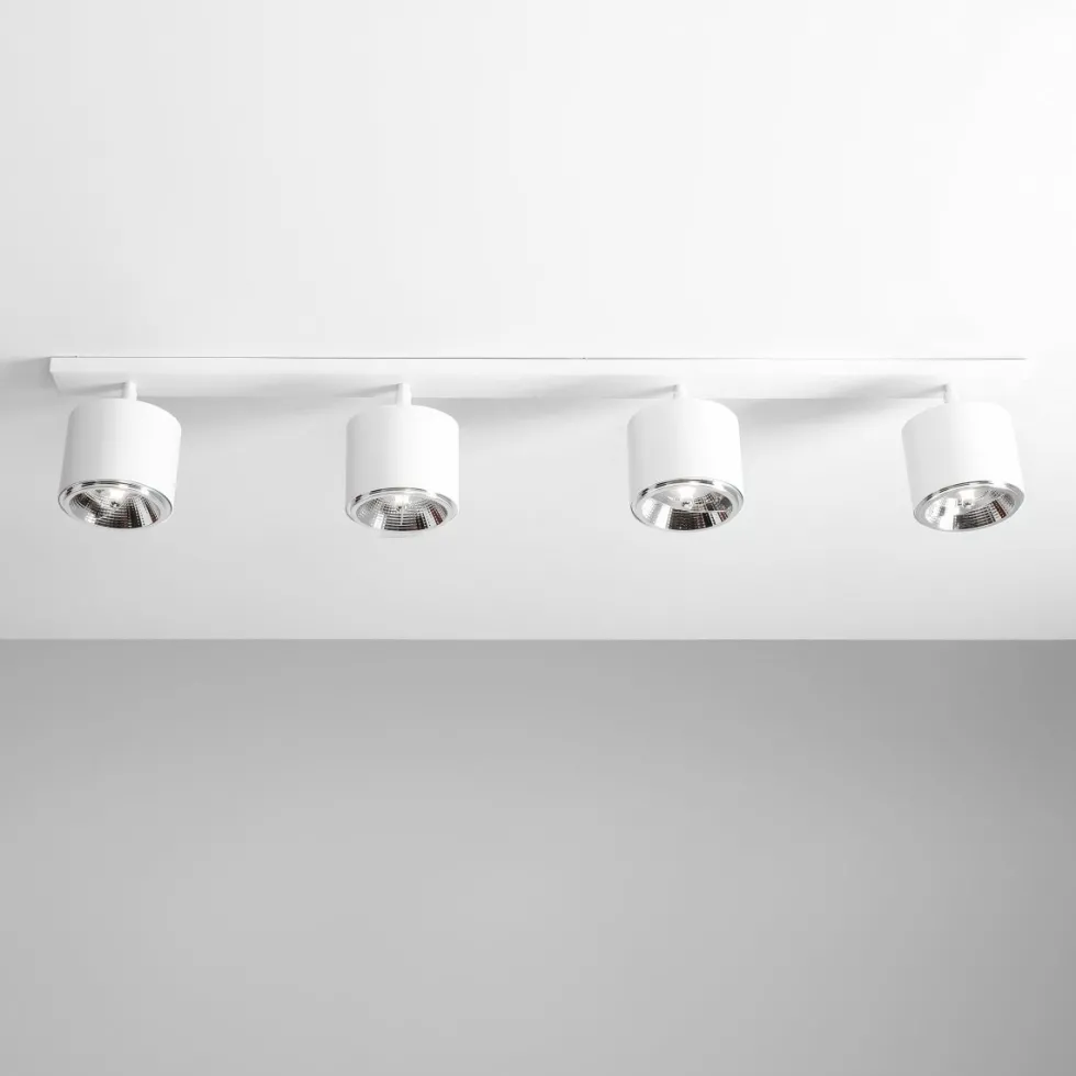 Bot 4 spotlight
