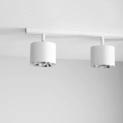 Bot 4 spotlight
