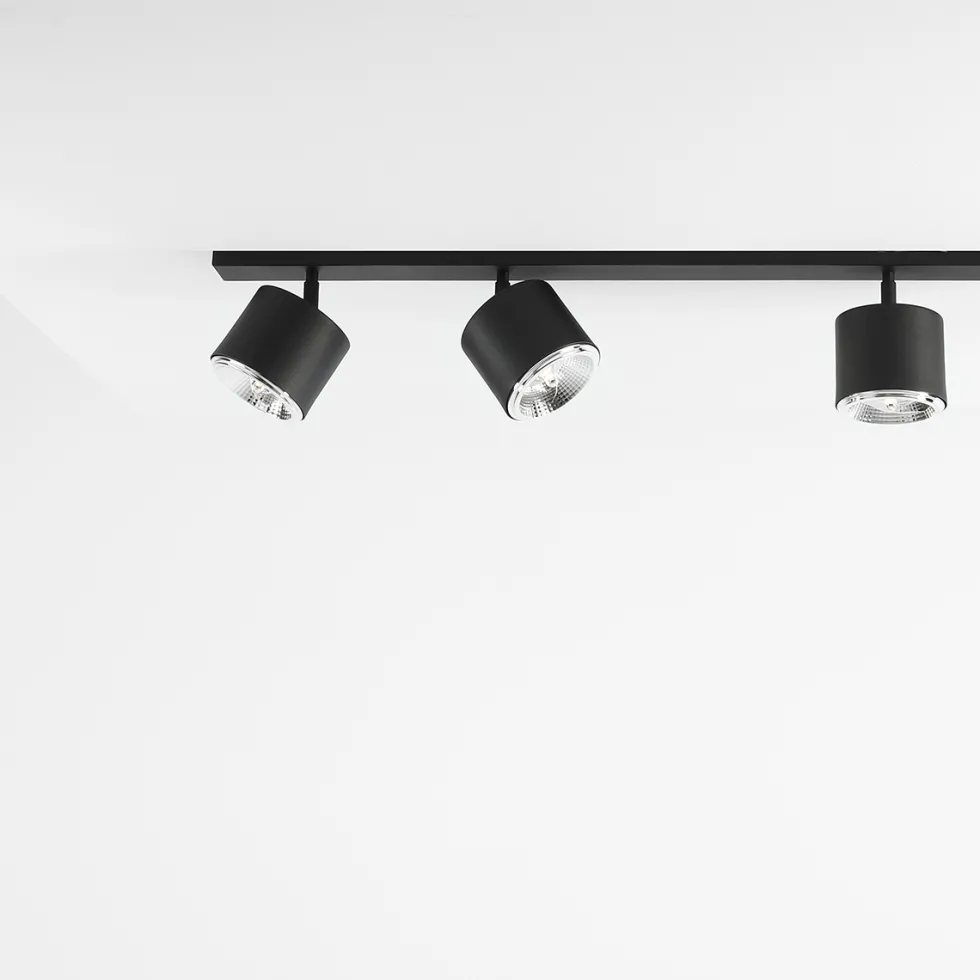 Bot 6 spotlight