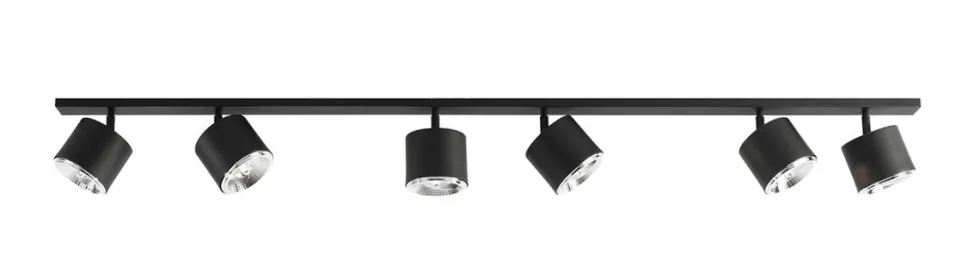 Bot 6 spotlight