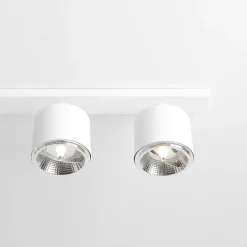 Bot 6 spotlight