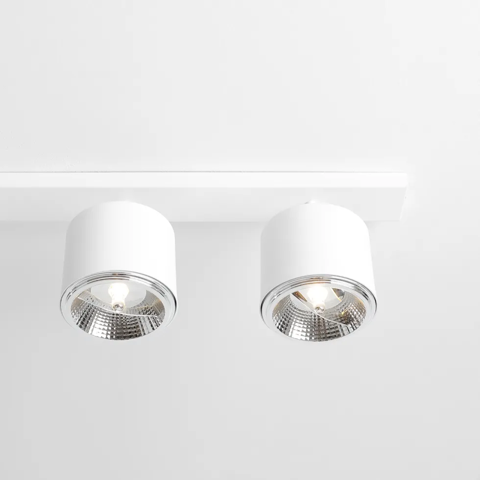 Bot 6 spotlight
