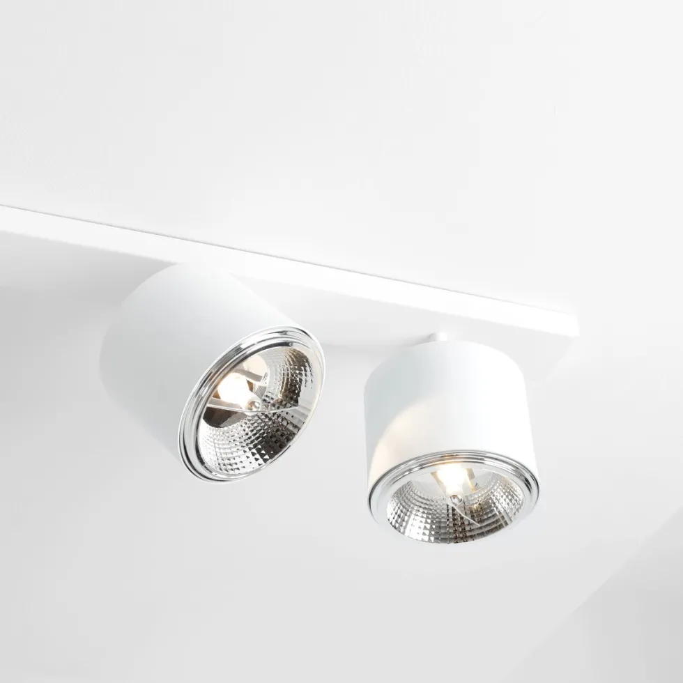 Bot 6 spotlight
