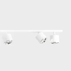 Bot 6 spotlight