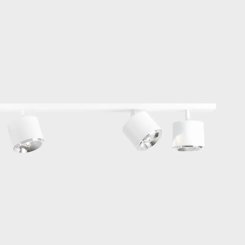 Bot 6 spotlight