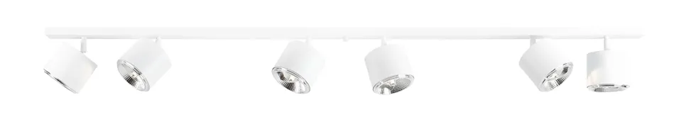 Bot 6 spotlight