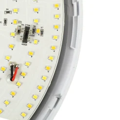 Canopy Sensor Ø30