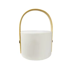 Carry 20cm portabel