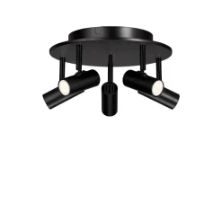 Cato 5 spotlight