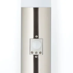 Chorus 80cm pollare