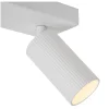 Clubs 2 spotlight