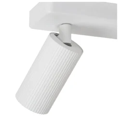 Clubs 2 spotlight