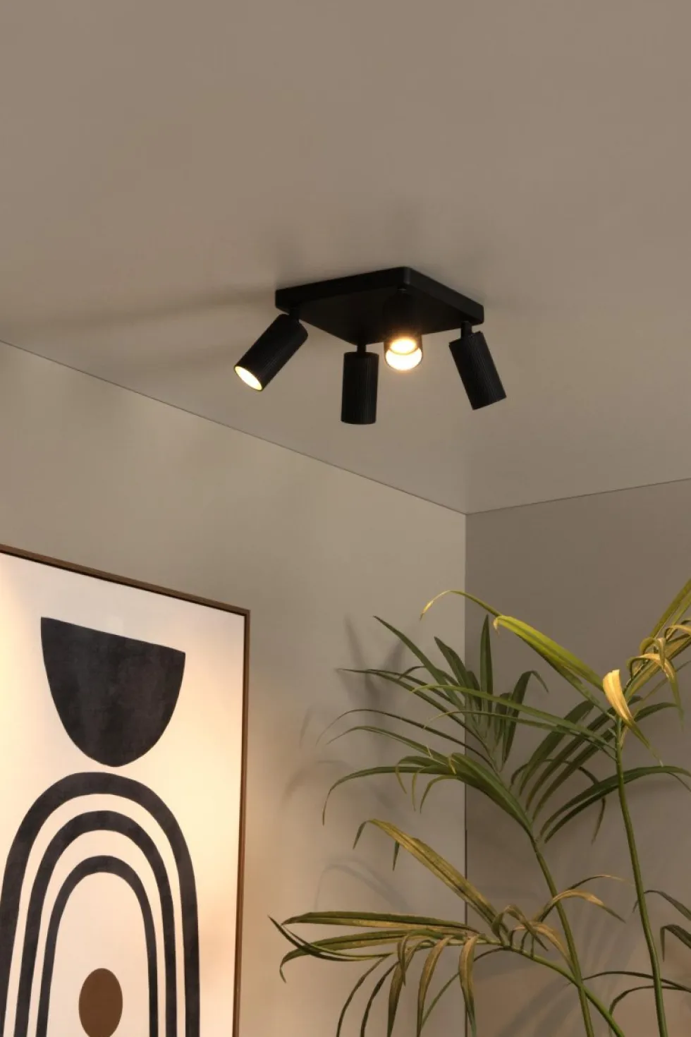 Clubs 4 spotlight