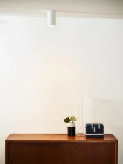 Delto spotlight