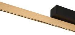 Dentsy 150cm taklampa
