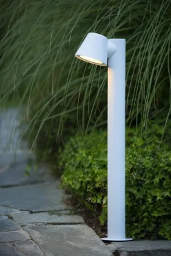 Dingo-LED 70cm pollare