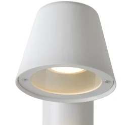 Dingo-LED 70cm pollare