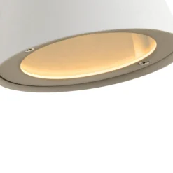 Dingo-Led utelampa