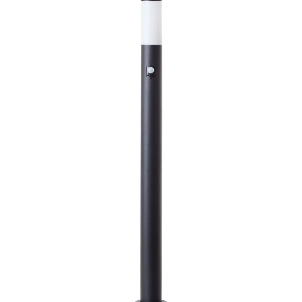 Dody 110cm pollare