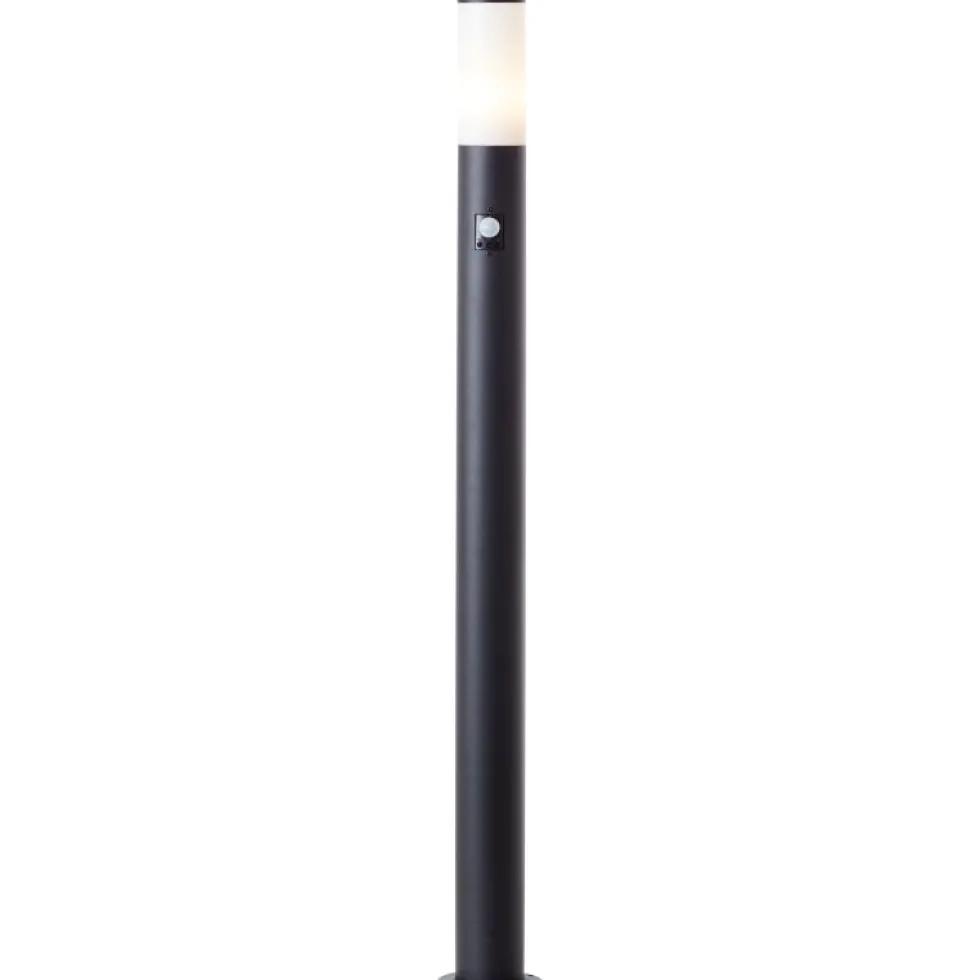 Dody 110cm pollare