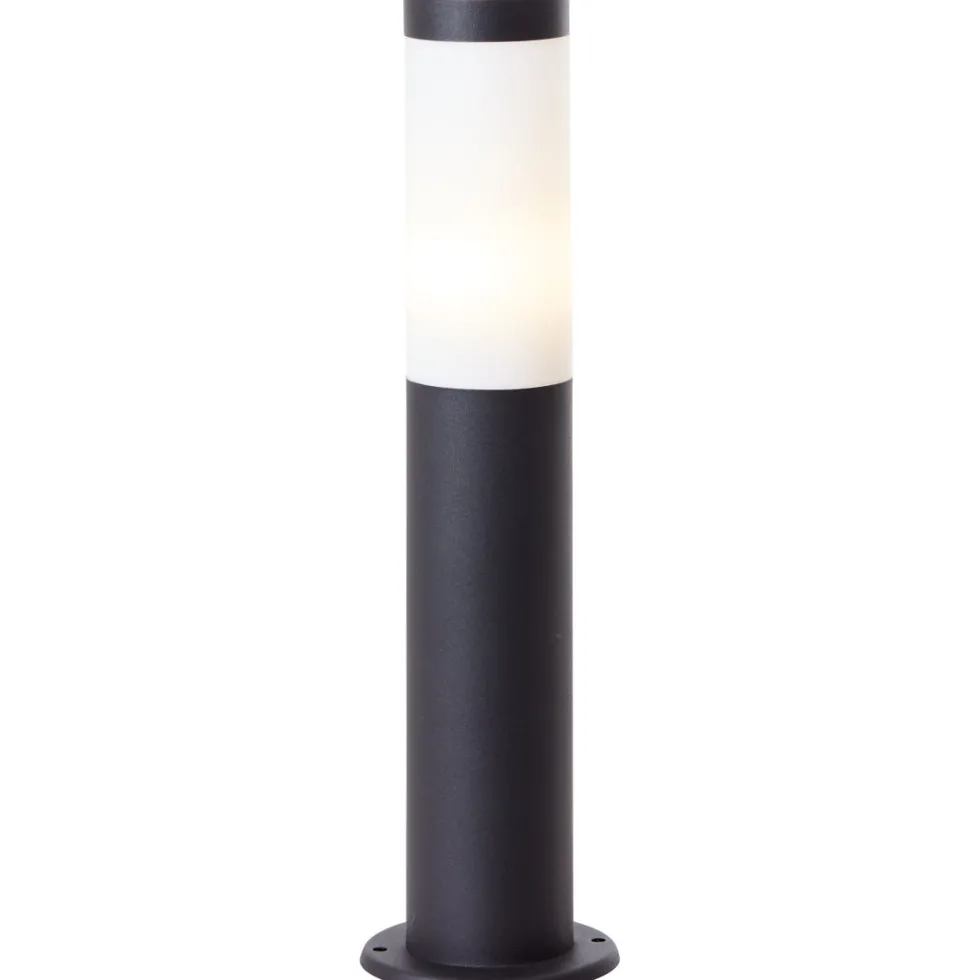 Dody 45cm pollare