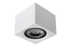Fedler spotlight