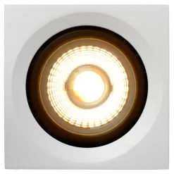 Fedler spotlight