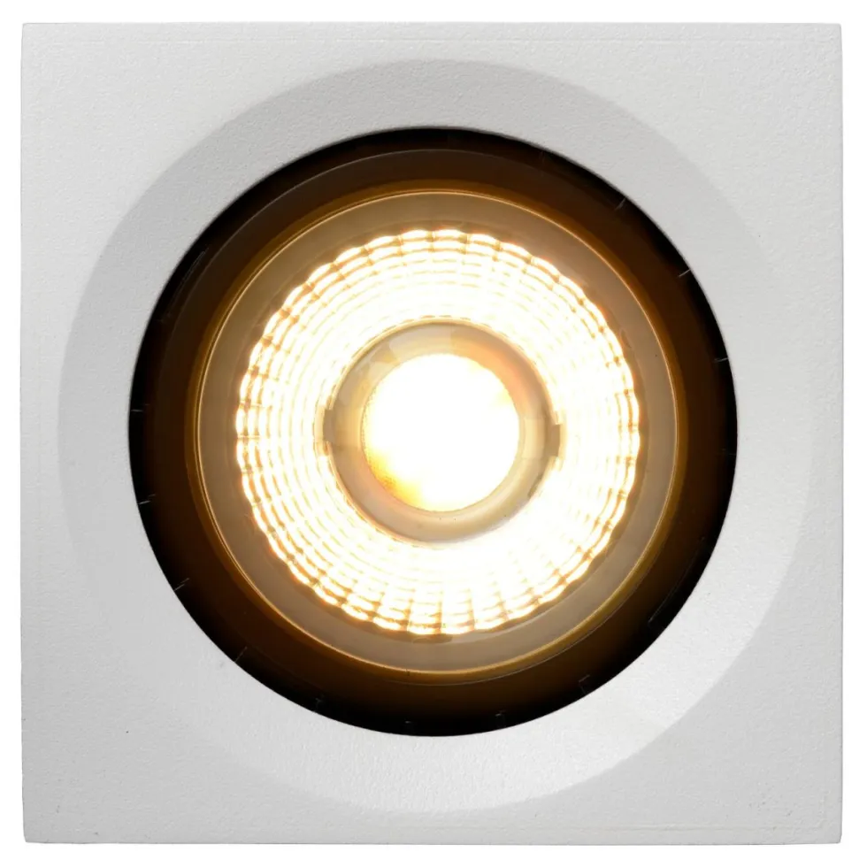 Fedler spotlight