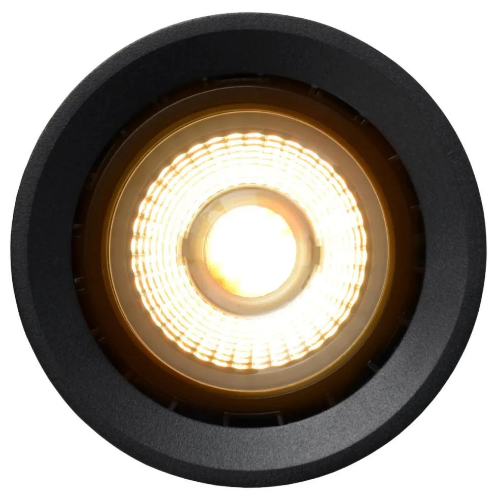 Fedler spotlight
