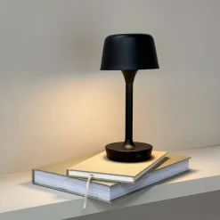 Flow 25cm portabel