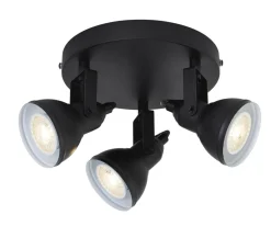 Focus 3 spotlight