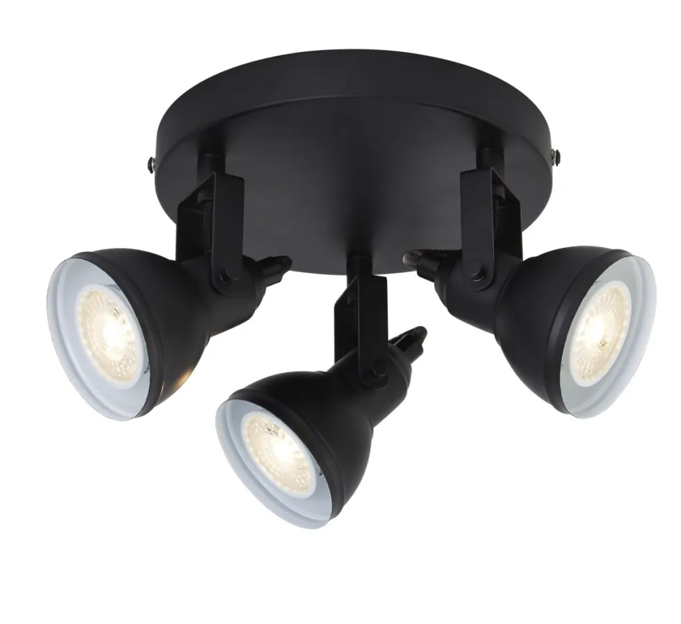 Focus 3 spotlight