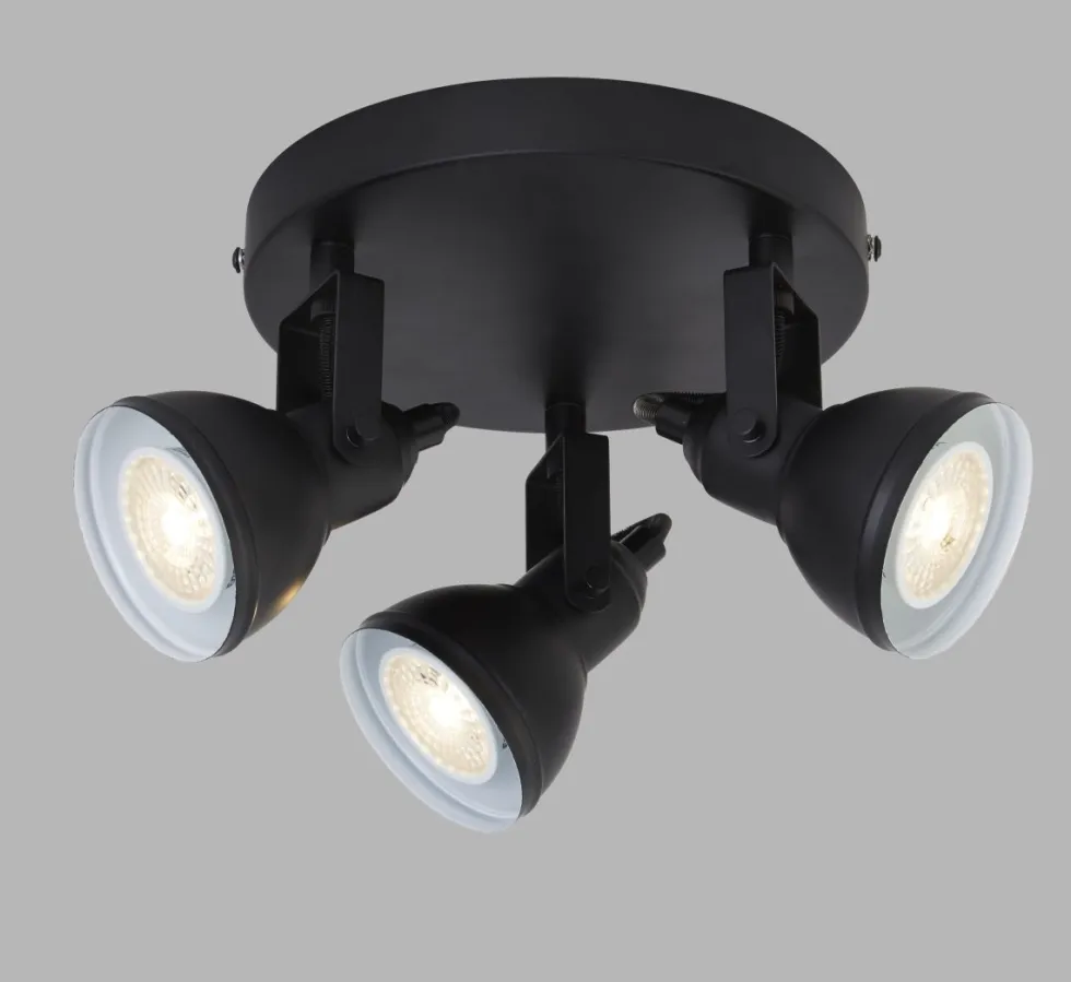 Focus 3 spotlight