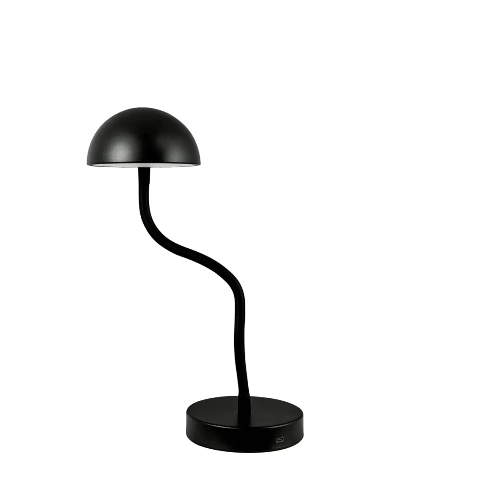 Fonzy 38cm portabel